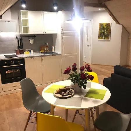 Апартаменты Attic City Center *