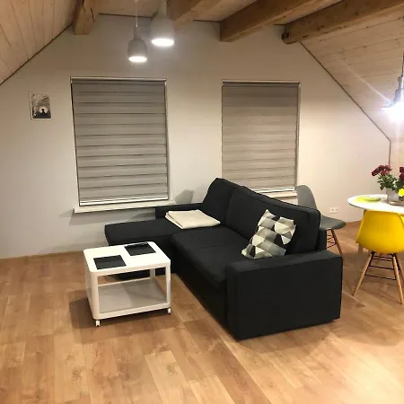 Attic City Center Апартаменты