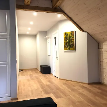 Апартаменты Attic City Center