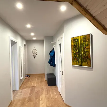 Attic City Center Апартаменты Клайпеда
