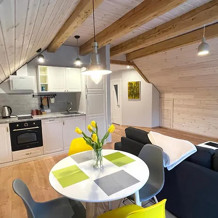 Attic City Center Апартаменты